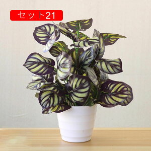 フェイクグリーン 人工観葉植物 鉢植え 盆栽植物 造花 ミニ インテリア 室内用 おしゃれ 世話要らず 新築祝い 新生活祝い 引越し ギフト 贈り物 オフィス ホーム 玄関 窓側 テーブル装飾花