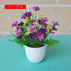 tFCNt[ e lHϗtA A ~   tFCNO[ CeA   p Vzj 蕨 ItBX z[ e[u u H|i