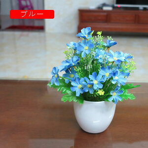 tFCNt[ e lHϗtA A ~   tFCNO[ CeA   p Vzj 蕨 ItBX z[ e[u u H|i