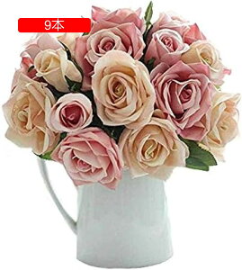  o ~j[Yu[Pi9{Zbgj KN ԑ CeA A[gt[  v[g ͂Ȃ VN ̓v[g u[P