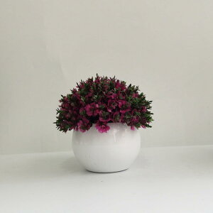 ϗtA ~j A lHϗtA tFCNO[ { 11-13cm ~ CeA  ItBX X   u ͂Ȃ b炸  Vz z 