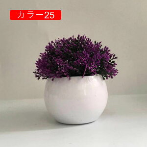 ϗtA ~j A lHϗtA tFCNO[ { 11-13cm ~ CeA  ItBX X   u ͂Ȃ b炸  Vz z 