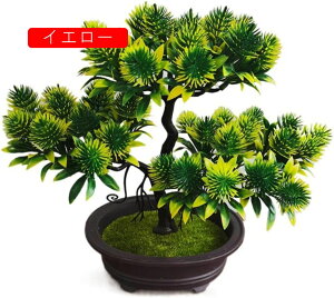 tFCNO[ ϗtA   ԃZbg { ͂Ȃ bsv 25cm*30cm A ~ CeA   u ] Vz ސEj 蕨 v[g CG