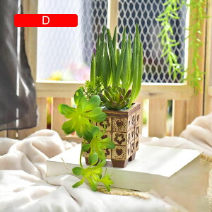 lHA ϗtA  ԕrt  { ͂Ȃ bsv tFCNO[ CeA ItBX X  u A ԃZbg VzEzj 蕨 v[