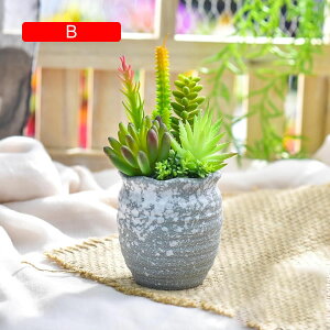 lHA ϗtA  ԕrt  { ͂Ȃ bsv tFCNO[ CeA ItBX X  u A ԃZbg VzEzj 蕨 v[