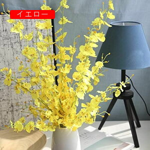  CeA A[gt[ ԑ x闖 5{ t[ v[g Mtg 蕨 JXj a    EFfBO u[P   Be p z[ 뉀 Lb