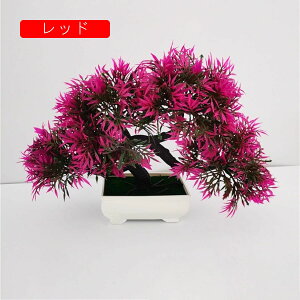 tFCNO[ ϗtA A lHϗtA { 22cm*30cm ~ u CeA  ItBX X 쑕  ͂Ȃ b炸  Vz z