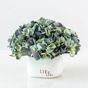  CeA ԕrt ͂Ȃ ~j A ~ {ɂ    Be v[g j  a rO x_  iX t[ u ϗtA