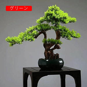 lH lHA~͔A̐AȂfXNgbv̒̑̂߂̏^V~[V̖؂̔A̐A lHϗtA