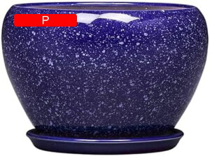 Aؔ 픫  Z~bN ~`̊ۂ Aؔ   vg|bg  A 󂯎Mt  t  O A  ϗtA v^[   CeA