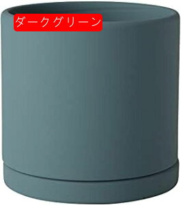 Aؔ ~`Z~bNAؔ 픫 ƉO̐AAؔ - rƃ\[T[tZ~bNAؔ ϗtA O[T{eAEh|bggCt