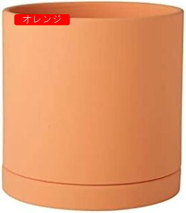 Aؔ ~`Z~bNAؔ 픫 ƉO̐AAؔ - rƃ\[T[tZ~bNAؔ ϗtA O[T{eAEh|bggCt