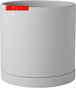 Aؔ ~`Z~bNAؔ 픫 ƉO̐AAؔ - rƃ\[T[tZ~bNAؔ ϗtA O[T{eAEh|bggCt