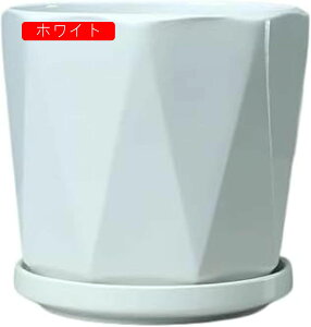 Aؔ 픫  ϗtA Mt v^[  ꌊt  v^[ CeA Vv T{e v^[ CeA t@bV Vv