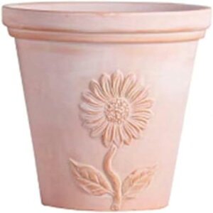 Aؔ INSc[gJ[̓픫 ϗtA  ϗtA̔  Aؔ  A Aւ ȐAؔ ~j K[fjO    ~j y