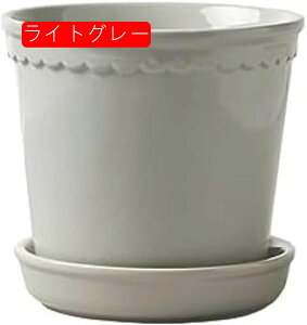 Aؔ 퐻 k A t[|bg ɐ Vv 15cm ʋC ~` CgO[ Mt K[f|bg _ z[ A A  rO 