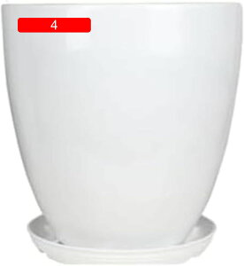 v^[ Aؔ  A  06 ͔| v[g Mtg ̓ ʔ  킢 K[fjO  t v^[ Aؔ ItBX r  h~  CeA