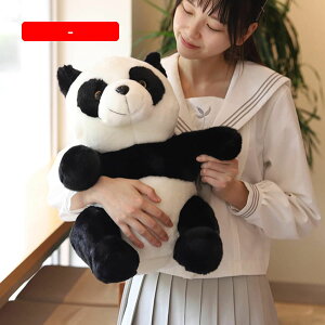 p_ ʂ 40cm  A p_D l` NbV NX}Xp NX}Xv[g 蕨 a v[g Mtg u X
