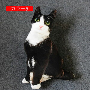 ʂ L  50cm NbV 킢 L A NbV YQ X  v[g Mtg a 蕨 j