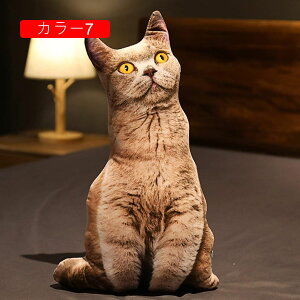 L  ʂ 킢 lR A 50cm LNbV  YQ X  v[g Mtg a 蕨 j