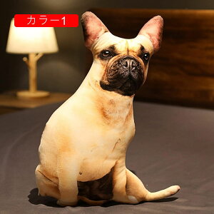 L  ʂ 킢 lR A 50cm LNbV  YQ X  v[g Mtg a 蕨 j