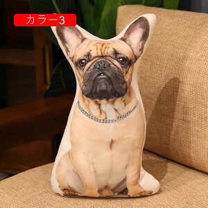 L ʂ 킢 lR  A 50cm LNbV  YQ X  v[g Mtg a 蕨 j