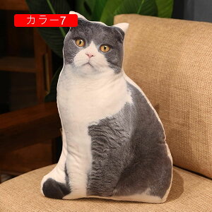 L ʂ 킢 lR  A 50cm LNbV  YQ X  v[g Mtg a 蕨 j