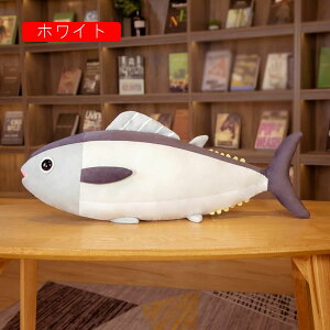 ʂ }O  65cm  QY D QY NbV Cm ʂ v[g Mtg 蕨 a X