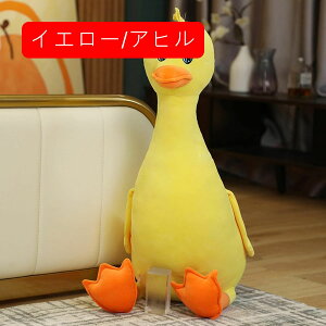 Aq ʂ A 傫   120cm NbV 킢 Aq D v[g Mtg NX}X 蕨 a X