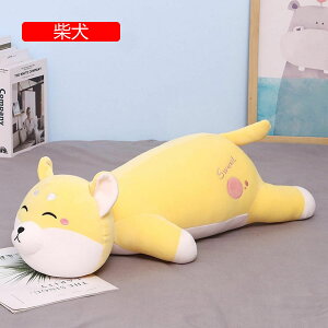 ʂ   傫  110cm NbV 킢 D v[g Mtg NX}X 蕨 a X