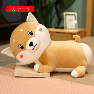 ʂ Č   60cm NbV ČD QY  D v[g Mtg 蕨 a X