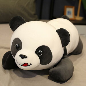 p_ ʂ   傫 67cm NbV 킢 p_D v[g Mtg NX}X 蕨 a X
