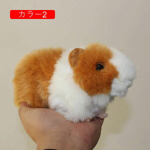 nX^[  ʂ  AO p[eB[̑ m ʔ 18cm  j av[g 킢  D u X 蕨 Mtg