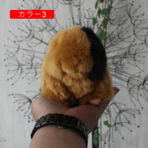 nX^[  ʂ  AO p[eB[̑ m ʔ 18cm  j av[g 킢  D u X 蕨 Mtg