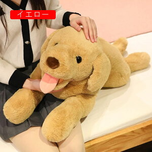 ʂ uh[ ӂӂ _炩 Gǂ n q w av[g j 蕨 l炵 q CeA u X  50/70cm