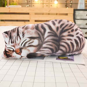 L  ʂ NbV 킢 L A 70cm NbV YQ X  v[g Mtg a 蕨 j