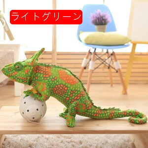 A JI ʂ 傫   80cm NbV 킢 D v[g Mtg NX}X 蕨 a X