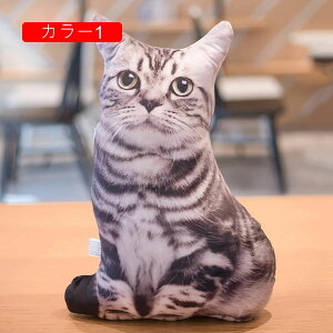 ʂ L A 50cm   LNbV 킢 YQ X  v[g Mtg a 蕨 j