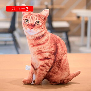 ʂ L A 50cm   LNbV 킢 YQ X  v[g Mtg a 蕨 j