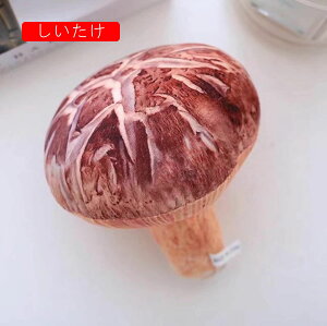 ؁@ʂ݁@@@15-25cm@@ʔ@4΁@a@LO@@S@C@蕨@Mtg@oYj@D݁@u@X@O[@J{