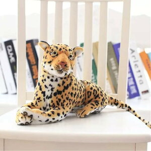 ʂ ^ A qE 50cm 傫   NbV X   D v[g Mtg a 蕨 j