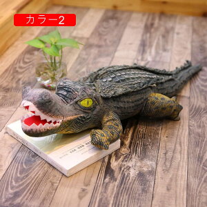 A k ʂ j 60cm 傫   NbV 킢 kD v[g Mtg NX}X 蕨 a X