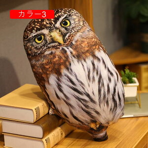tNE ʂ A 50cm  NbV Q YQ  X  D v[g Mtg a 蕨 j