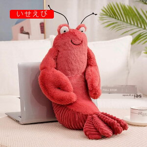 ʂ݁@肪Ɂ@Ɂ@ӂӂ@@@낢@n@@S@ʂ݃u[P@Ǝ@؍@_炩@22-45cm@@̎q@w@ގ@M