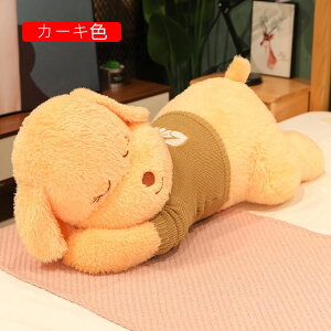 @ʂ݁@@@_炩@n@NbV@YQ܂@݁@傫@@80cm-160cm@j@av[g@4΁@a@LO@
