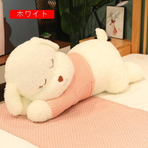 @ʂ݁@@@_炩@n@NbV@YQ܂@݁@傫@@80cm-160cm@j@av[g@4΁@a@LO@