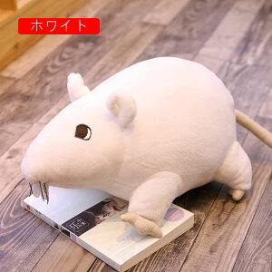 lY~@@ʂ݁@@W[Nߋ@ʔ@AOρ@mȁ@20cm-60cm@@蕨@Mtg@NX}X@j@av[g@킢@u@X