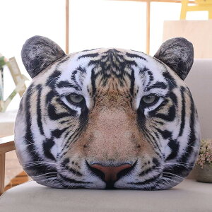   NbV Ղʂ A 45cm   X   D v[g Mtg a 蕨 j
