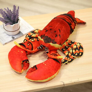 uX^[ ʂ A   60cm  傫 QY D QY NbV Cm ڂʂ v[g Mtg 蕨 a X