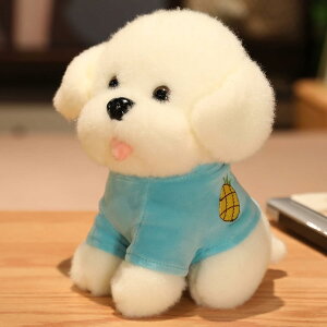 @ʂ݁@@ybg@EGfBOv[g@CeA@u@X@j@蕨@Əj@wj@j@v[g@@D݁@25-70cm